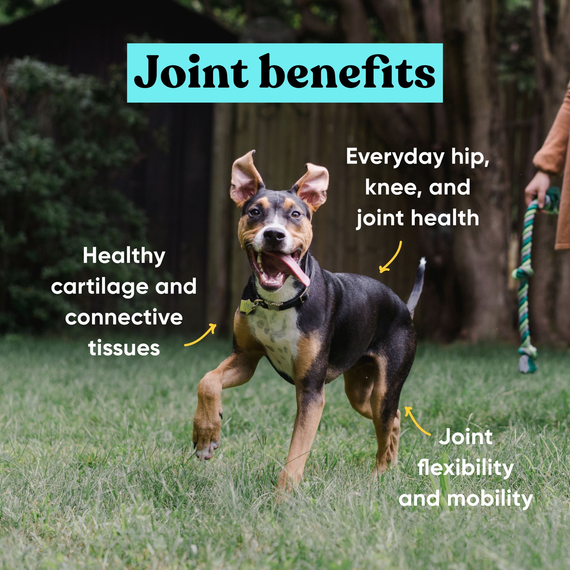 Benefits_436987d3-d4a3-44d6-988b-c5cf3ae28263.png