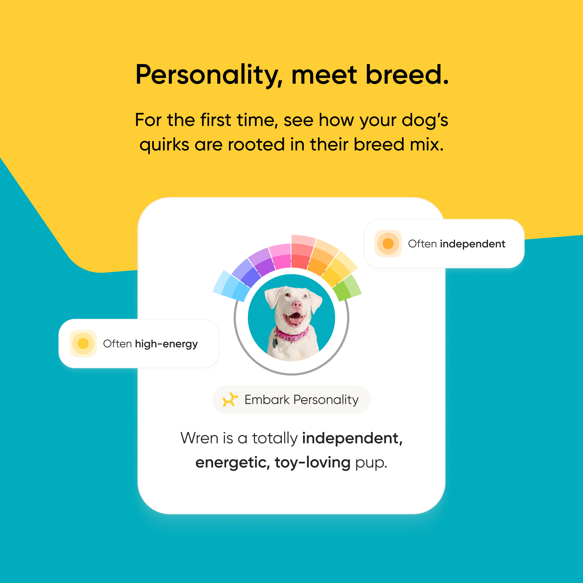 Personality_quiz.png